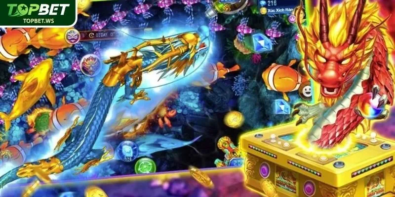 Phòng tham gia chính thức 